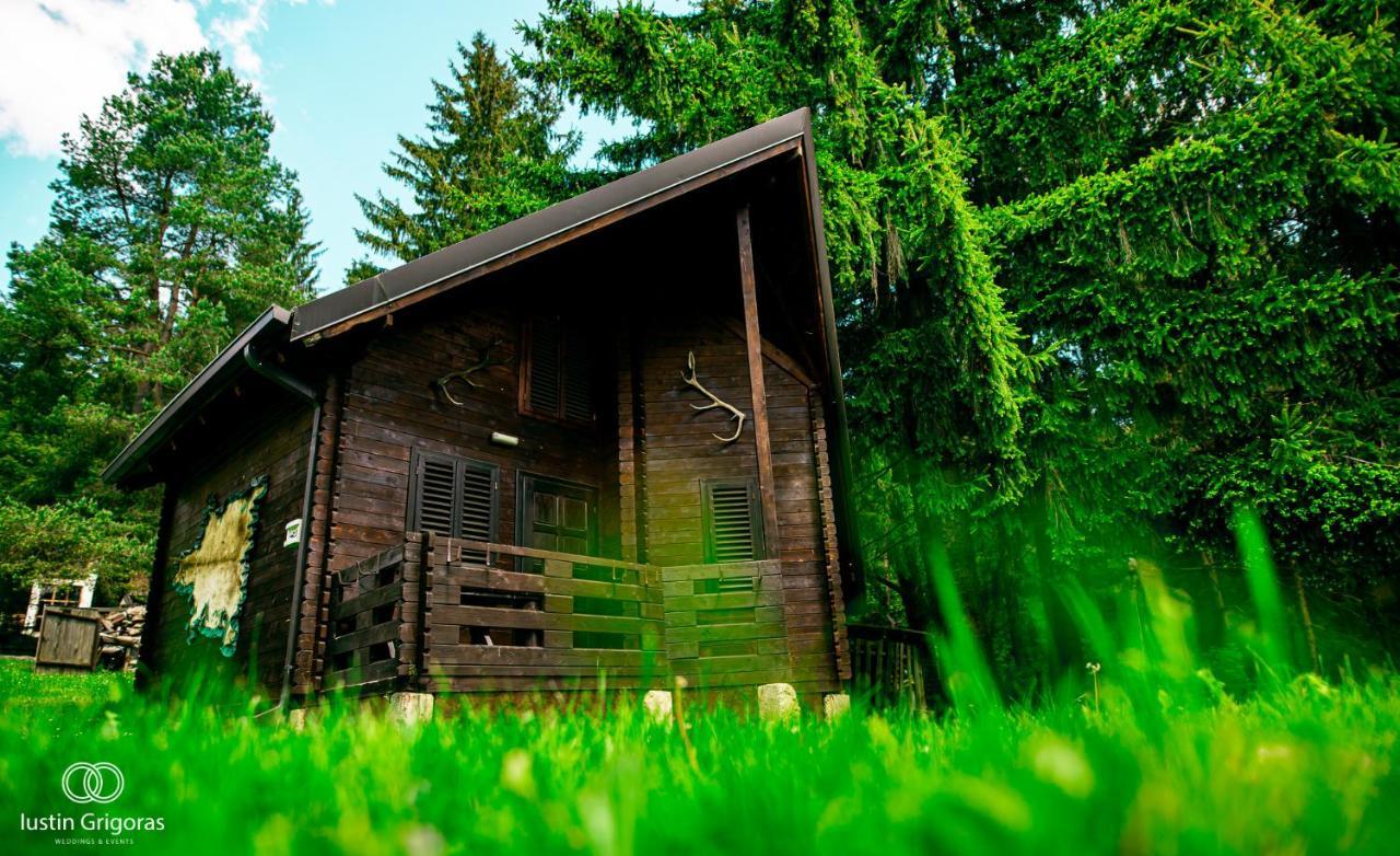 Pensiunea Vanatorul Vatra Dornei Exterior foto
