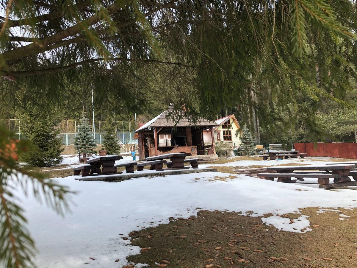 Pensiunea Vanatorul Vatra Dornei Exterior foto